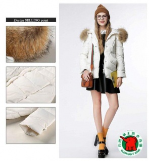 象王干洗店價(jià)格表-干洗投資選象王更好