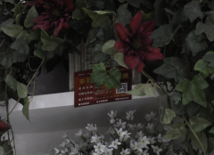 溧陽干洗店加盟哪個好？