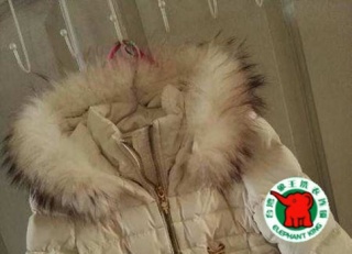 上海象王洗衣店加盟費?