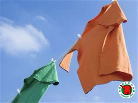 保定干洗店加盟多少錢(qián)?開(kāi)干洗店利潤(rùn)怎么樣? 保定干洗店加盟多少錢(qián)?開(kāi)干洗店利潤(rùn)怎么樣?