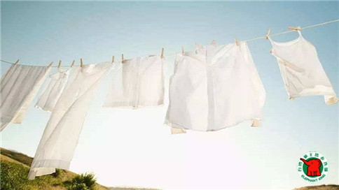 加盟洗衣怎么樣?干洗行業前景如何? 加盟洗衣怎么樣?干洗行業前景如何?