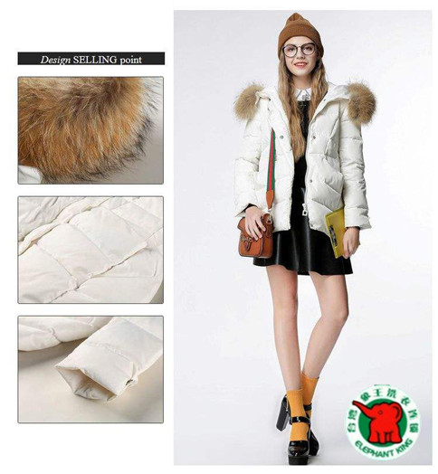 象王干洗店價(jià)格表-干洗投資選象王更好