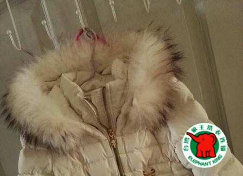 上海象王洗衣店加盟費?