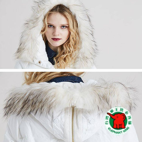 干洗店加盟費是多少?