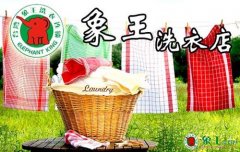 創業投資就選干洗加盟項目