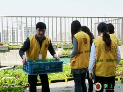 高中學(xué)校旁的干洗店投資